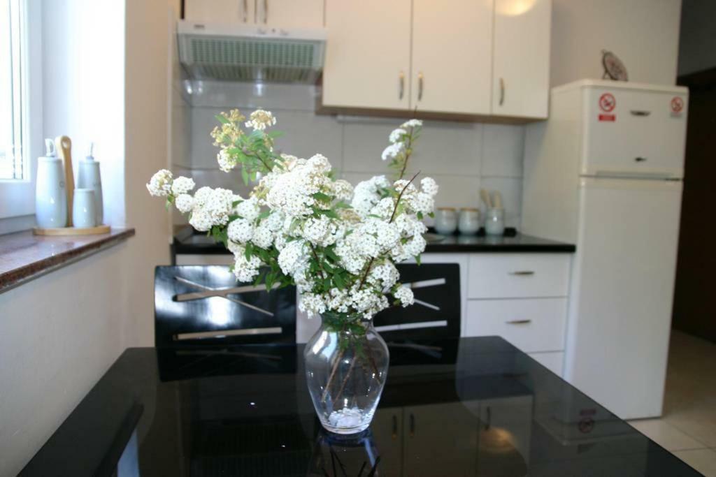 Vicy Apartment Novalja Kültér fotó